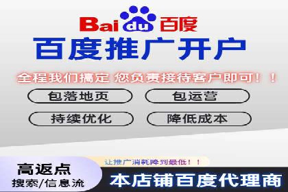百度SEO推广公司案例分析：成功案例解析